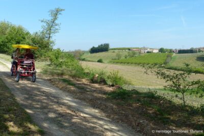 Croze Hermitage vineyards